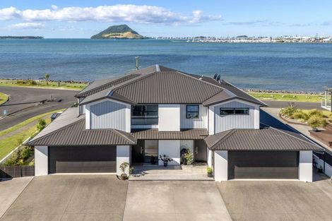 Photo of property in 1/2 Kulim Avenue, Otumoetai, Tauranga, 3110