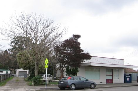 Photo of property in 133 Cole Street, Masterton, 5810