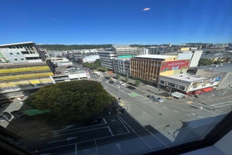 Photo of property in Vsp South, 801/168u Victoria Street, Te Aro, Wellington, 6011