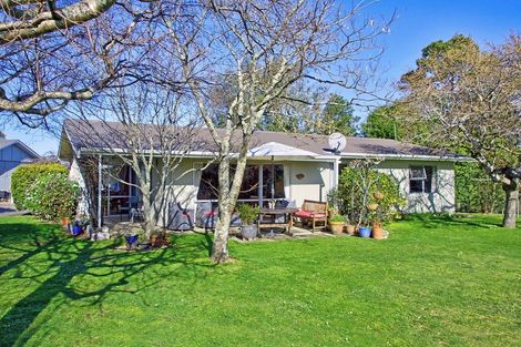 Photo of property in 49b Cornwall Street, Masterton, 5810
