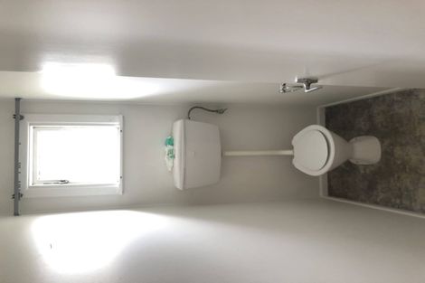 Photo of property in 86 Harrington Road, Henderson, Auckland, 0610