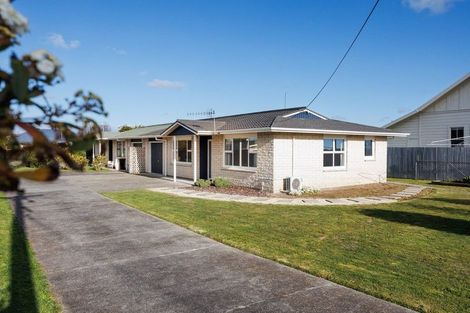 Photo of property in 23 Hobson Street, Feilding, 4702
