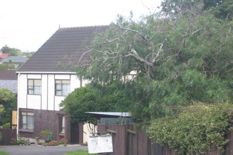Photo of property in 1/8 Nile Road, Milford, Auckland, 0620