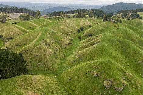 Photo of property in 81 Kaiwaka Road, Tangoio, Napier, 4181