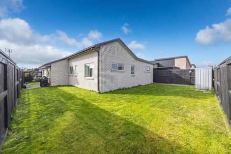 Photo of property in 15 Naismith Street, Chartwell, Hamilton, 3210