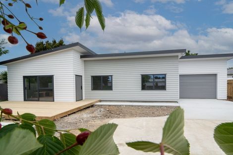 Photo of property in 34 Elizabeth Street, Levin, 5510