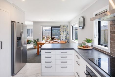 Photo of property in 43 Accolade Street, Feilding, 4702