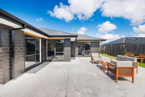 Photo of property in 43 Accolade Street, Feilding, 4702