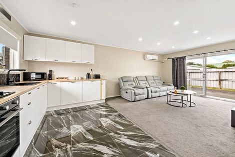 Photo of property in 9b Princes Street, Pukekohe, 2120