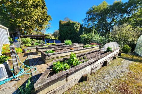 Photo of property in 499 Nelson Creek Road, Nelson Creek, Dobson, 7872
