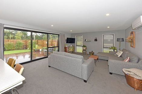 Photo of property in 2 Nicolau Avenue, Rolleston, 7615