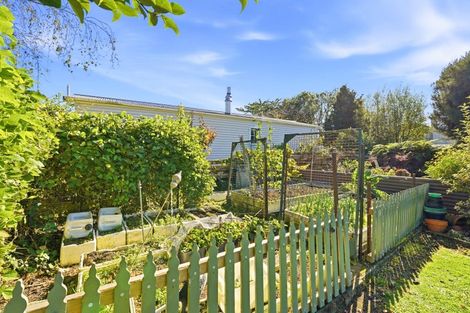 Photo of property in 22 Tararua Street, Pahiatua, 4910