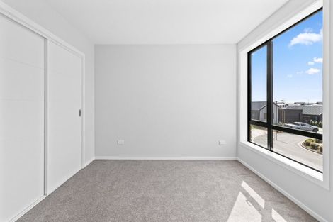 Photo of property in 65 Musselwhite Terrace, Chartwell, 3210