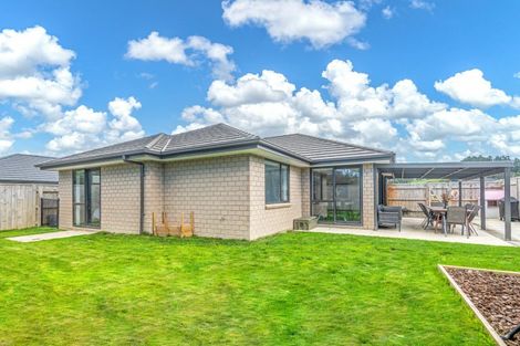 Photo of property in 11 Monarch Drive, Ashhurst, 4810