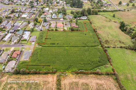 Photo of property in 20 Coolen Place, Tuakau, 2121