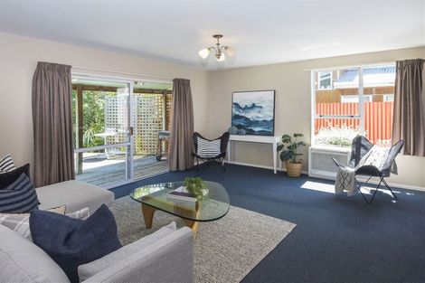 Photo of property in 87 Olliviers Road, Phillipstown, Christchurch, 8011