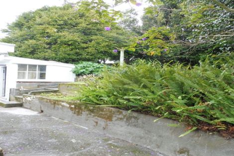 Photo of property in 282 Adelaide Road, Newtown, Wellington, 6021