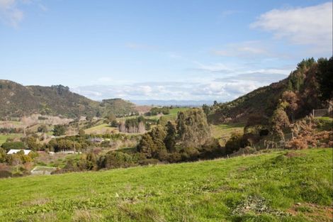 Photo of property in 78 Packtrack Road, Thames, 3577