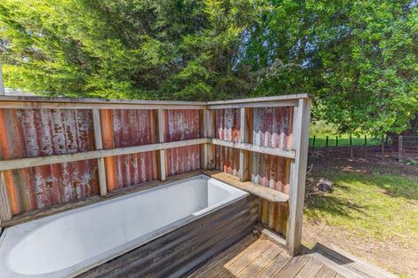 Photo of property in 143a Otapouri Road, Owhango, 3989