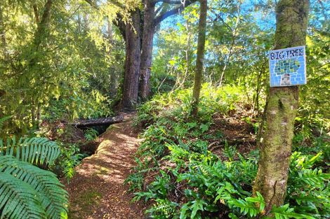 Photo of property in 499 Nelson Creek Road, Nelson Creek, Dobson, 7872