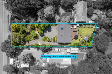 Photo of property in 31 Park Avenue, Waikanae, 5036