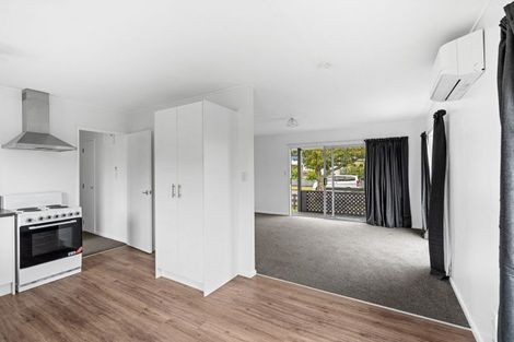 Photo of property in 9 Guy Avenue, Levin, 5510