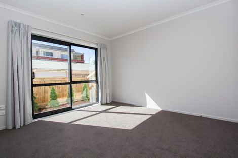 Photo of property in 18u4 Hunter Street, Hamilton Lake, Hamilton, 3204