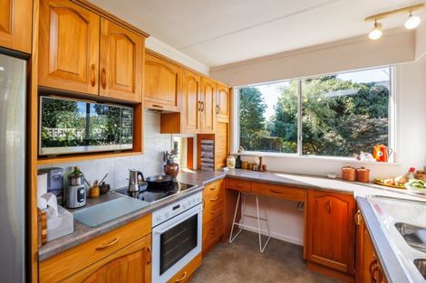 Photo of property in 245 Victoria Avenue, Hokowhitu, Palmerston North, 4410