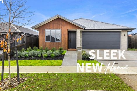 Photo of property in 16 Morrin Street, Morrinsville, 3300