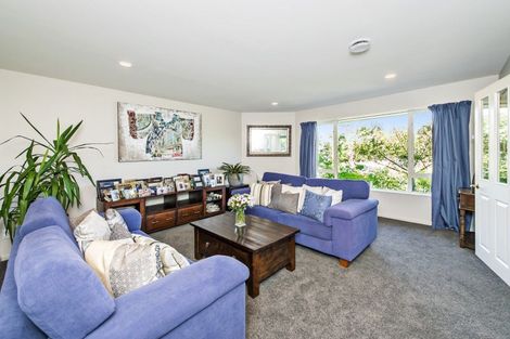 Photo of property in 19 Brahman Close, Prebbleton, 7604