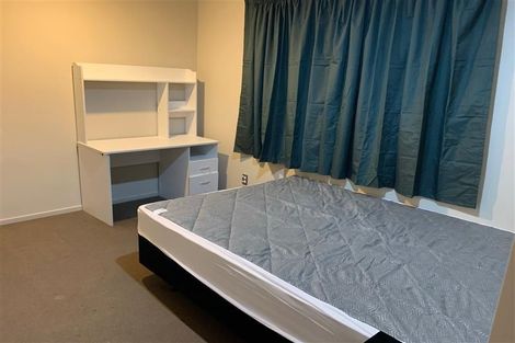 Photo of property in 7b Bleakley Place, Hillcrest, Hamilton, 3216