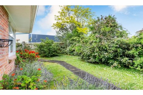 Photo of property in 3/19 Ellen Avenue, Hillcrest, Auckland, 0627