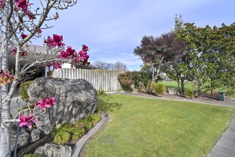 Photo of property in 17 Donegal Crescent, Tamatea, Napier, 4112
