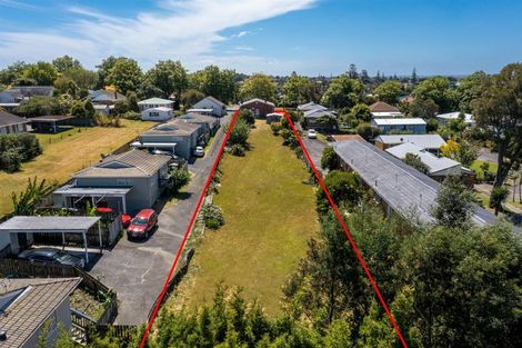 Photo of property in 20 Seabrook Avenue, New Lynn, Auckland, 0600