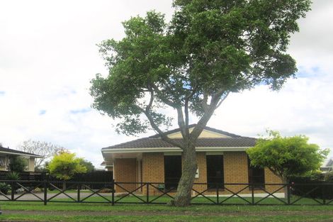 Photo of property in 11 Jutland Road, Pukekohe, 2120