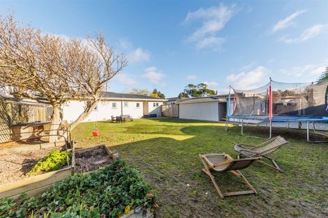 Photo of property in 41 Pahiatua Street, Hokowhitu, Palmerston North, 4410