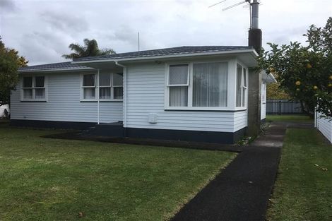Photo of property in 29 Harper Street, Papakura, 2110