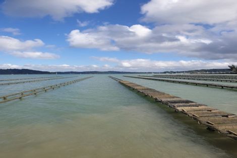 Photo of property in 50 Kiteone Road, Parua Bay, Whangarei, 0174