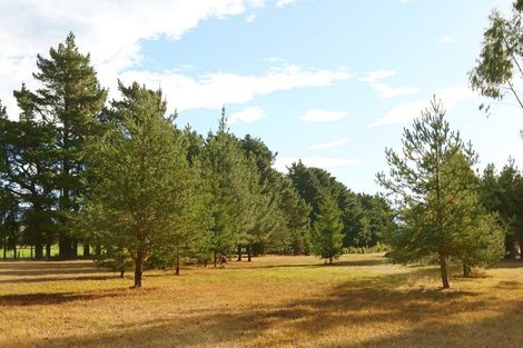 Photo of property in 65 Butterfield Road, Hawea Flat, Wanaka, 9382