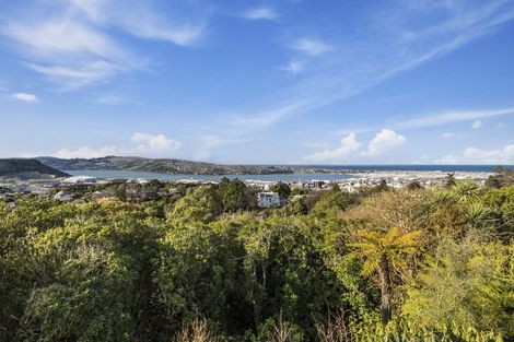 Photo of property in 32 Tweed Street, Roslyn, Dunedin, 9010