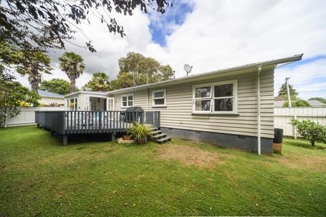 Photo of property in 39 Macarthur Street, Levin, 5510