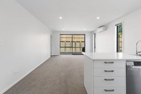 Photo of property in 155u4 Rimu Street, Maeroa, Hamilton, 3200