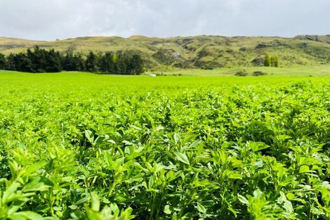Photo of property in 63 Herema (mckays Road) Road, Toatoa, Opotiki, 3197