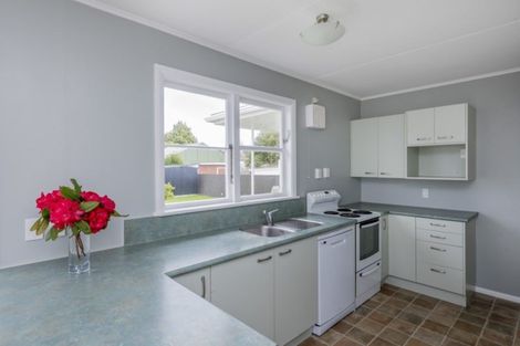 Photo of property in 51 Graham Street, Levin, 5510