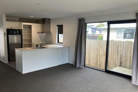 Photo of property in 8 League Lane, Phillipstown, Christchurch, 8011