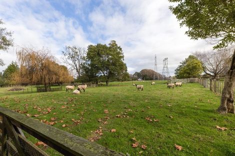 Photo of property in 1/193 Racecourse Road, Cambridge, 3493