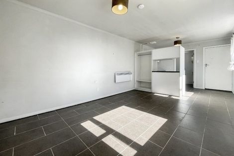 Photo of property in 233 Adelaide Road, Newtown, Wellington, 6021