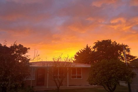 Photo of property in 33 Venice Street, Martinborough, 5711