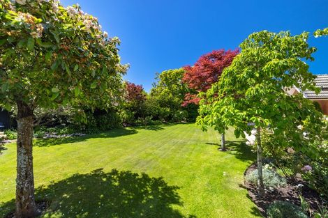Photo of property in 43 Mcdougall Avenue, St Albans, Christchurch, 8014