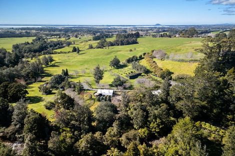 Photo of property in 202b Thompsons Track, Aongatete, 3178